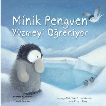 Minik Penguen Yüzmeyi Öğreniyor - Eilidh Rose