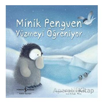 Minik Penguen Yüzmeyi Öğreniyor - Eilidh Rose