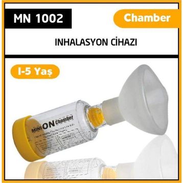 Minion Sarı Chamber Medium Çocuk