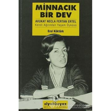 Minnacık Bir Dev - Erol Köktürk
