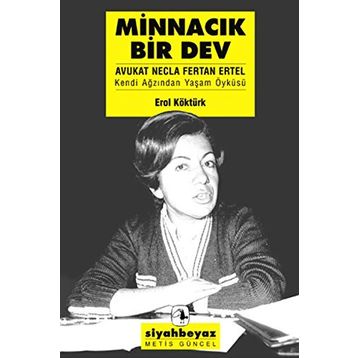 Minnacık Bir Dev - Erol Köktürk