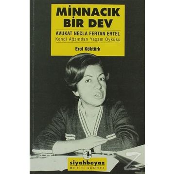 Minnacık Bir Dev - Erol Köktürk