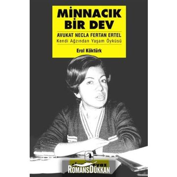 Minnacık Bir Dev - Erol Köktürk