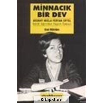 Minnacık Bir Dev - Erol Köktürk