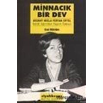 Minnacık Bir Dev - Erol Köktürk
