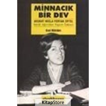 Minnacık Bir Dev - Erol Köktürk