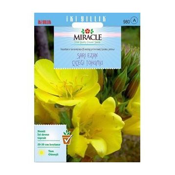 Miracle Ezan Çiçeği 480 Tohum