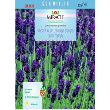 Miracle Hidcote Blue Lavanta 100 Tohum