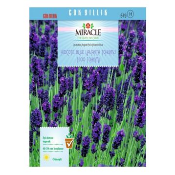 Miracle Hidcote Blue Lavanta 100 Tohum