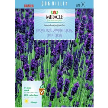 Miracle Hidcote Blue Lavanta 100 Tohum