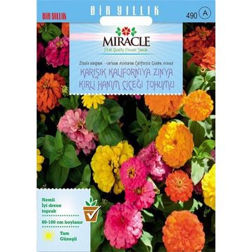 Miracle Karışık Kaliforniya Zinya Kirli Hanım Çiçeği 150 Adet Tohum