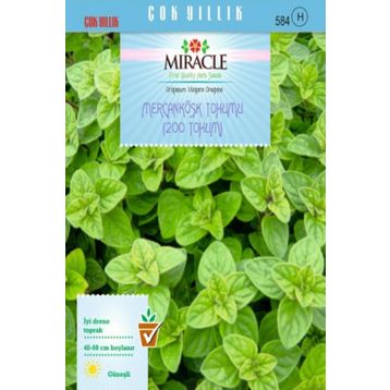 Miracle Mercanköşk 200 Tohum