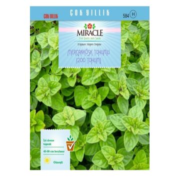Miracle Mercanköşk 200 Tohum