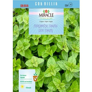 Miracle Mercanköşk 200 Tohum