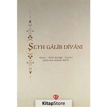 MIRZA ESEDULLAH HAN GALIB GALIB DİVANI - HASAN ALI YÜCEL
