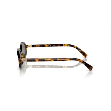 Miu Miu Regard MU 04ZS VAU04M 50 Brown Havana-Green Aynalı Kadın Güneş Gözlüğü