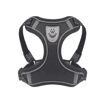 Mixpet L Gezdirmeli Köpek Armalı Göğüs Tasması