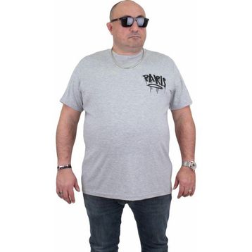 Moc Grande 24129 Paris Gri Melanj Erkek T-shirt