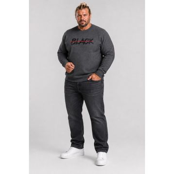 Moc Grande 24202 Antrasit Melanj Sıfır Yaka Erkek Sweatshirt