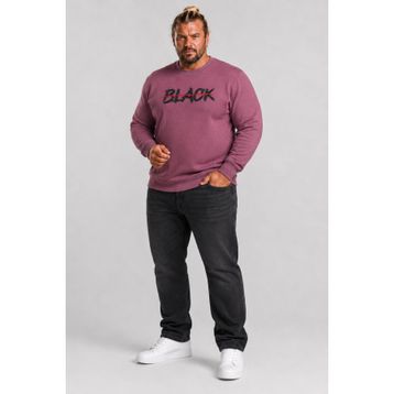 Moc Grande 24202 Eflatun Sıfır Yaka Erkek Sweatshirt