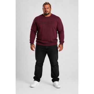 Moc Grande 24203 Mürdüm Sıfır Yaka Erkek Sweatshirt