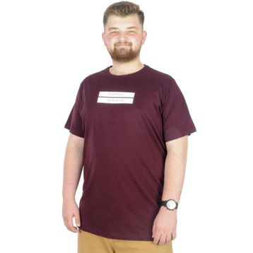 Mode XL 22189 Mürdüm Erkek T-shirt