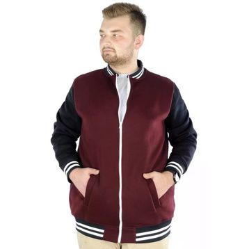 Mode XL 22618 Mürdüm Büyük Beden Kolej Erkek Mont