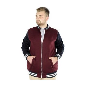 Mode XL 22618 Mürdüm Büyük Beden Kolej Erkek Mont