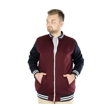 Mode XL 22618 Mürdüm Büyük Beden Kolej Erkek Mont