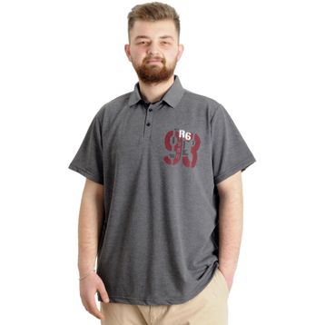 Mode XL 23330 Limited Antramelanj Parçalı Erkek Polo T-Shirt
