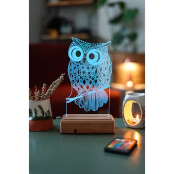 Modiwa Design 3D Baykuş 16 Renk Gece Lambası