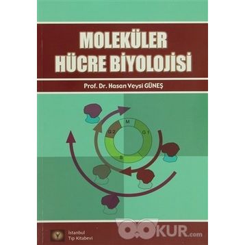 MOLEKÜLER HÜCRE BIYOLOJISI - KOLEKTIF