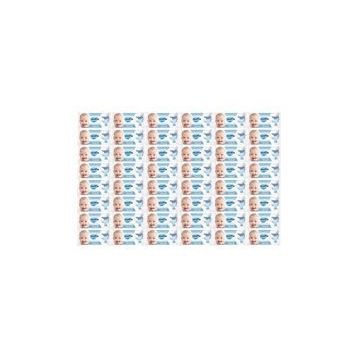 Molfix 48'li Set 60 Yaprak Islak Havlu