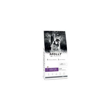 Molly Büyük Irk Hipoalerjenik Kuzu Etli ve Yaban Mersinli Düşük Tahıllı 15 kg Yetişkin Köpek Maması