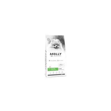 Molly Küçük Irk Hipoalerjenik Kuzu Etli ve Yaban Mersinli Düşük Tahıllı 2 kg Yavru Köpek Maması