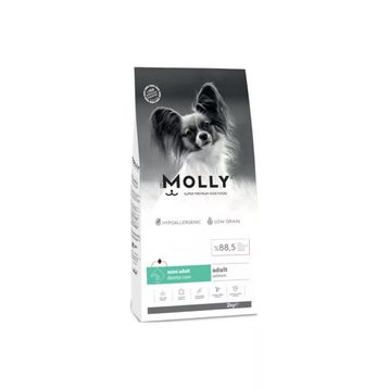 Molly Küçük Irk Hipoalerjenik Somonlu 2 kg Yetişkin Köpek Maması