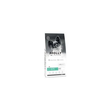 Molly Küçük Irk Hipoalerjenik Somonlu 2 kg Yetişkin Köpek Maması