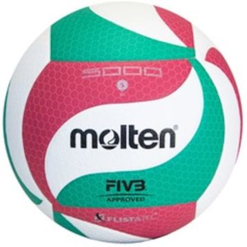 Molten V5M5000 Voleybol Topu