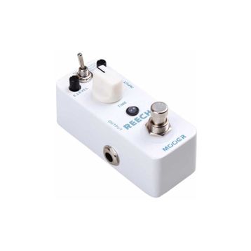 Mooer MDL2 Micro Serisi Reecho Digital Delay Pedalı