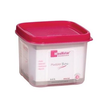 Moonstar Modüler 0.65 lt Saklama Kabı