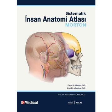 MORTON İNSAN ANATOMISI - ADAM DAVID MORTON;KURT H. ALBERTINE