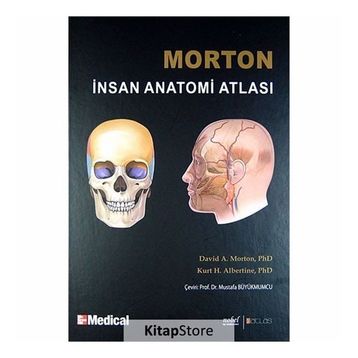 MORTON İNSAN ANATOMISI - ADAM DAVID MORTON;KURT H. ALBERTINE