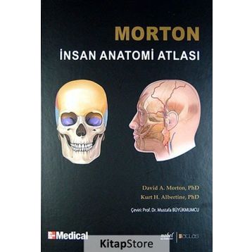 MORTON İNSAN ANATOMISI - ADAM DAVID MORTON;KURT H. ALBERTINE