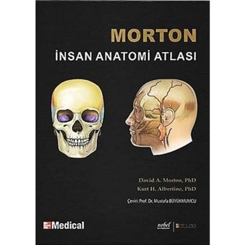 MORTON İNSAN ANATOMISI - ADAM DAVID MORTON;KURT H. ALBERTINE