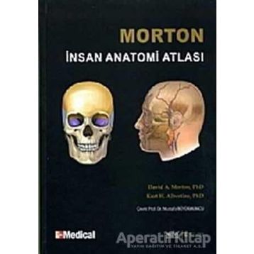 MORTON İNSAN ANATOMISI - ADAM DAVID MORTON;KURT H. ALBERTINE
