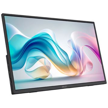 MSI PRO MP165 E6 15.6 inç Taşınabilir Monitör