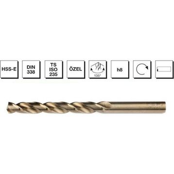 Mte DİN 338 4 mm Altın Matkap Ucu