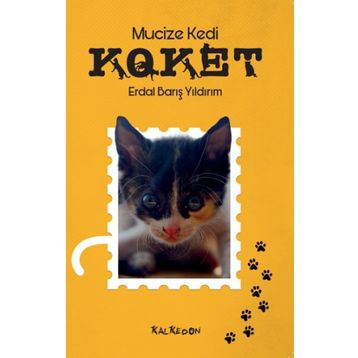 Mucize Kedi Koket - Erdal Barış Yıldırım