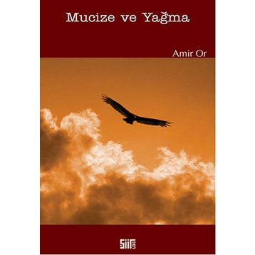 Mucize ve Yağma - Amir Or