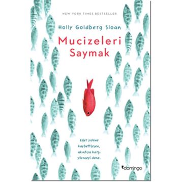 Mucizeleri Saymak - Holly Goldberg Sloan